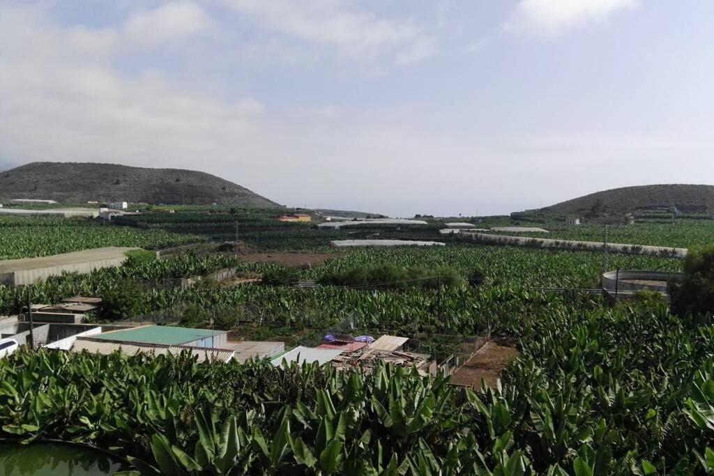 Bonito Y Amplio Piso En Los Llanos De Aridane Ngoại thất bức ảnh