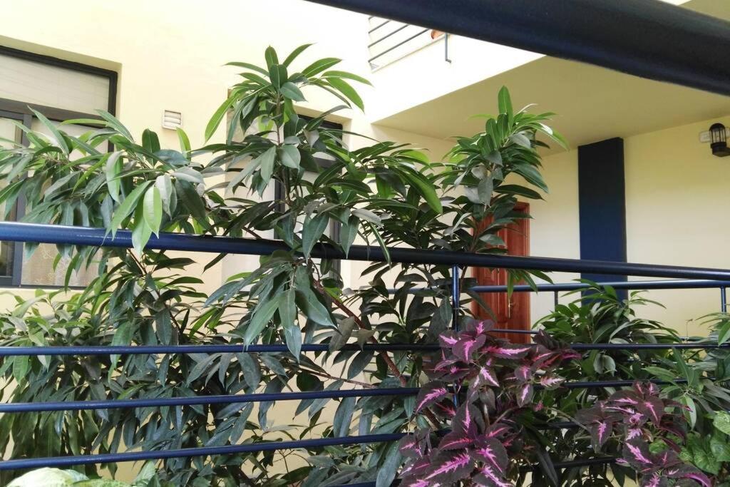 Bonito Y Amplio Piso En Los Llanos De Aridane Ngoại thất bức ảnh